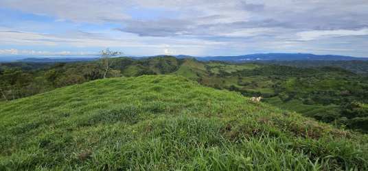 Beautiful natural spring and stream in farm for sale Chiriquí Panama