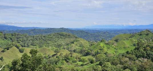 Wide gravel internal road inside mountain farm in San Andrés Bugaba Chiriquí