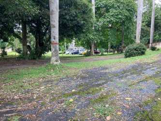 4 Hectare Commercial-Residential Land La Chorrera Highway