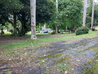 Land for Sale in La Chorrera - 0 bedrooms