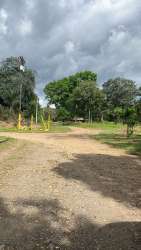 Gravel access road through green lot with trees under cloudy sky near David Chiriquí