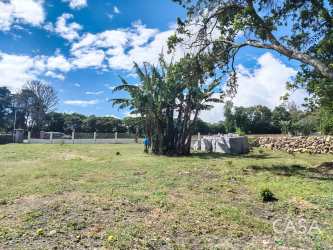 Large natural lot with mountain views and trees fenced Volcancito Boquete Panama