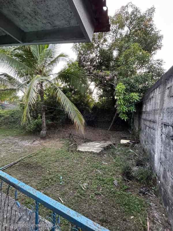 Outdoor garden area with trees, grass and patio in Villa Cáceres Panama