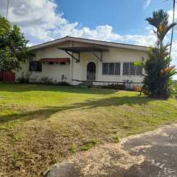 Open garden yard with large tree and paved patio at highway property Bugaba Panama