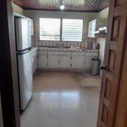 Open yard with tree garden patio at Interamerican Highway property in Bugaba