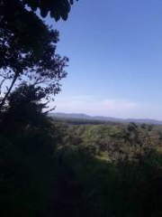 Land / Farm for Sale in Soná - 0 bedrooms