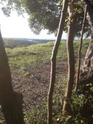 Open natural clearing among trees on 17 hectare coastal farm in Soná Panama