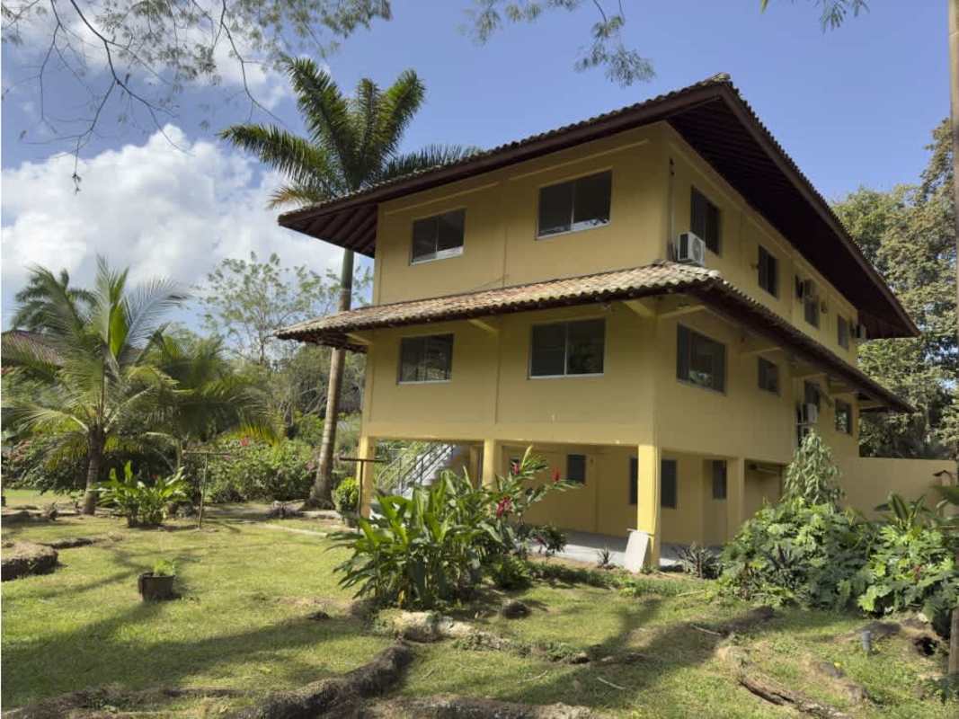 Lush green landscaped gardens surrounding yellow family house in Clayton for rent