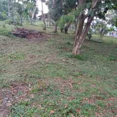 Land Lot for Sale in Sorá - 0 bedrooms