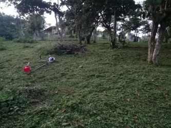 Large vacant lot with mountain views and natural vegetation in Buena Vista Sorá