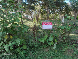 Wooded land for sale sign in scenic mountain greenery Buena Vista Sorá Panama