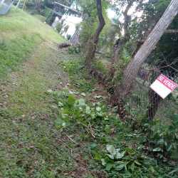 Grassy access lane with fenced boundary and trees in Buena Vista Sorá lot Panama