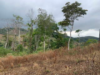 Land for Sale in Pedregal - 0 bedrooms