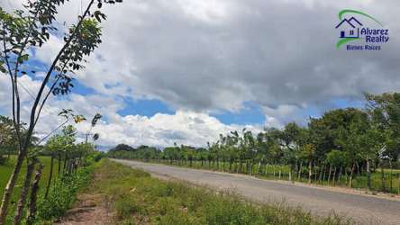 Paved access road with trees and farmland views in Bugaba Chiriquí Panama