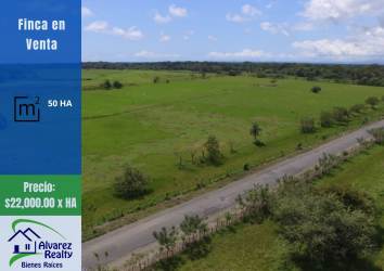Wide panoramic of open green fields and countryside views Bugaba Chiriquí