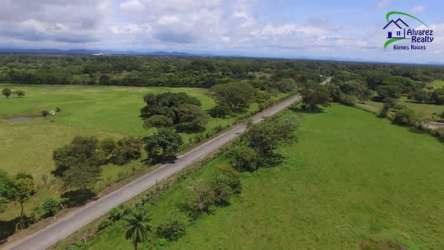 50 Hectare Farm Land Bugaba Chiriquí Panama