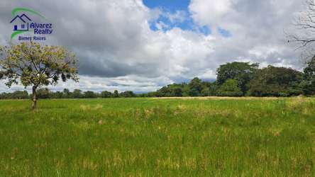 Open lush pasture with countryside views Bugaba farmland sale Chiriquí Panama