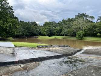 Open grassy land with scattered trees under partly cloudy sky, Brisas de los Lagos Panama