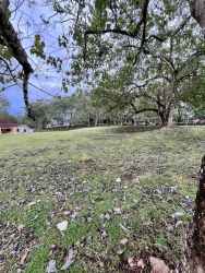 Open lawn with mature trees at Brisas de los Lagos community La Chorrera Panama