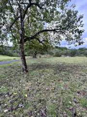 Land for Sale in El Arado - 0 bedrooms