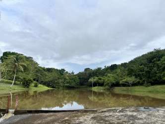 Palm trees near lush pond under cloudy sky at Brisas de los Lagos La Chorrera