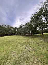 Natural pond with lush greenery and trees in Brisas de los Lagos La Chorrera Panama