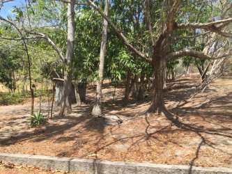 Dense mature trees natural shaded area of land lot Riomar beach San Carlos Panama