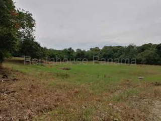 Development Land for Sale in Antón - 0 bedrooms