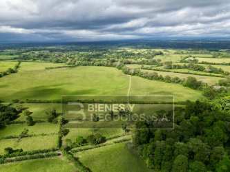 Livestock grazing field with fencing and natural water sources in Chiriqui Panama