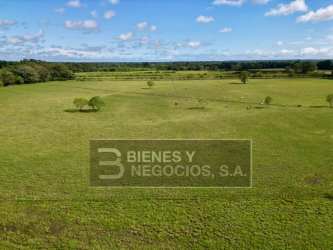 Rural aerial of expansive farm in Chiriqui suitable for crops cattle forestry