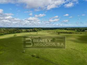 Large stretch of flat agricultural land for rice cultivation and livestock in Divala Bugaba