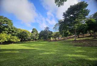 Land for Sale in Capira - 0 bedrooms