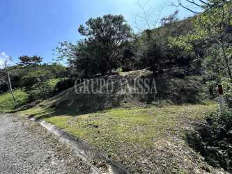 Grassy terrain with mature trees mountain valley panoramic views Panama