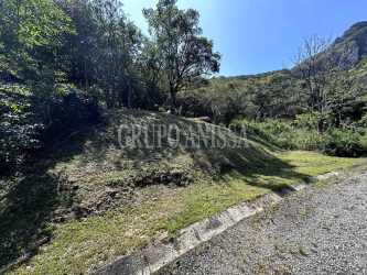 Wooded mountain lot surrounded by trees natural environment Panama