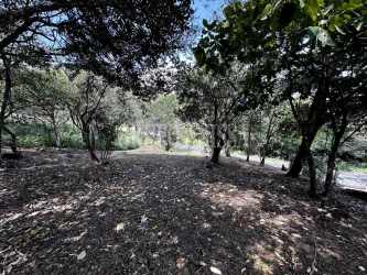 Partially forested mountain lot eleveted terrain with natural vegetation Panama