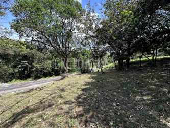 Green sloped lot edged by trees mountain scenery residential land Panama