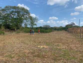 Open rural farmland fencing La Guabas Tonosí Panama