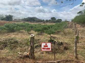 Rural property with paved road front La Guabas Tonosí