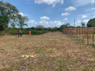 Land ideal for farming agriculture Los Santos Panama