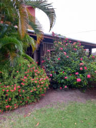 Mature tropical garden landscaping at countryside house for sale in San José San Carlos Panama