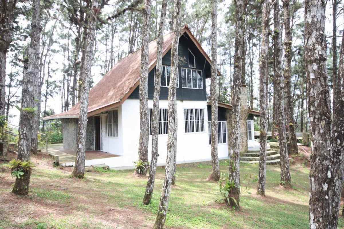 Spacious Mountain Home with Large Lot in Altos del Castillo - View 7