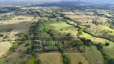 Aerial view expansive cattle farmland with trees and river in Rovira Dolega Chiriquí