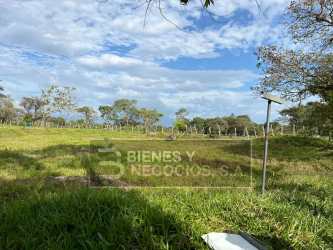 Cattle pasture with fence and solar panel on sunny rural farmland Chiriquí Panama