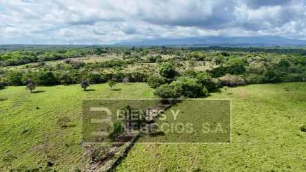 Majagua River flowing through cattle pastures over green farmland Chiriquí