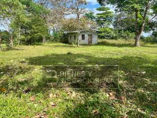 Agricultural Land for Sale in Rovira - 0 bedrooms