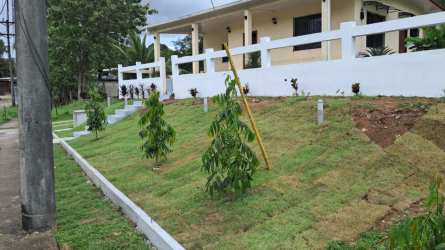 Elevated garden with landscaped plants and white fence at Puerto Pilón rental house Colon Panama
