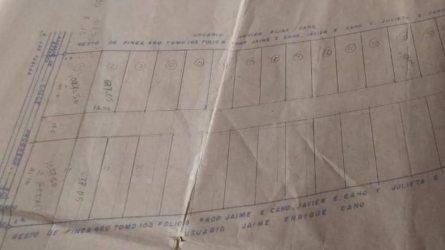 Blueprint cadastral plan of subdivided plots showing 2 hectare property Las Tablas Panama