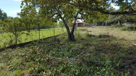 Fenced 1447m² Land Lot in Nueva Gorgona near Coronado