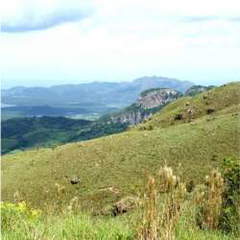 Land for Sale in Campana - 0 bedrooms