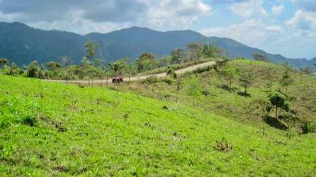 Open green rolling hills with distant mountain views on rural Panama land